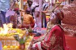 Faisal Khan at Maharana Pratap Singh wedding scene on location in Filmcity on 17th Sept 2014
